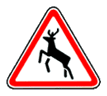 1.28 — გარეული ცხოველები