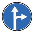 4.1.4 — მოძრაობა პირდაპირ ან მარჯვნივ